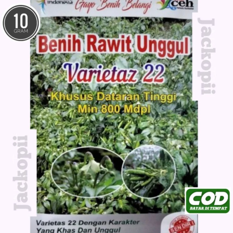 ART Q24J Benih Cabai Rawit Varietas 22  Cabe Rawit Setan  Varietas 22