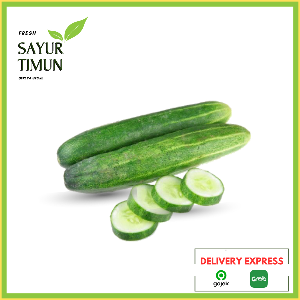 

SAYUR TIMUN LOKAL SEGAR MENTIMUN HIJAU MURAH SAYURAN FRESH