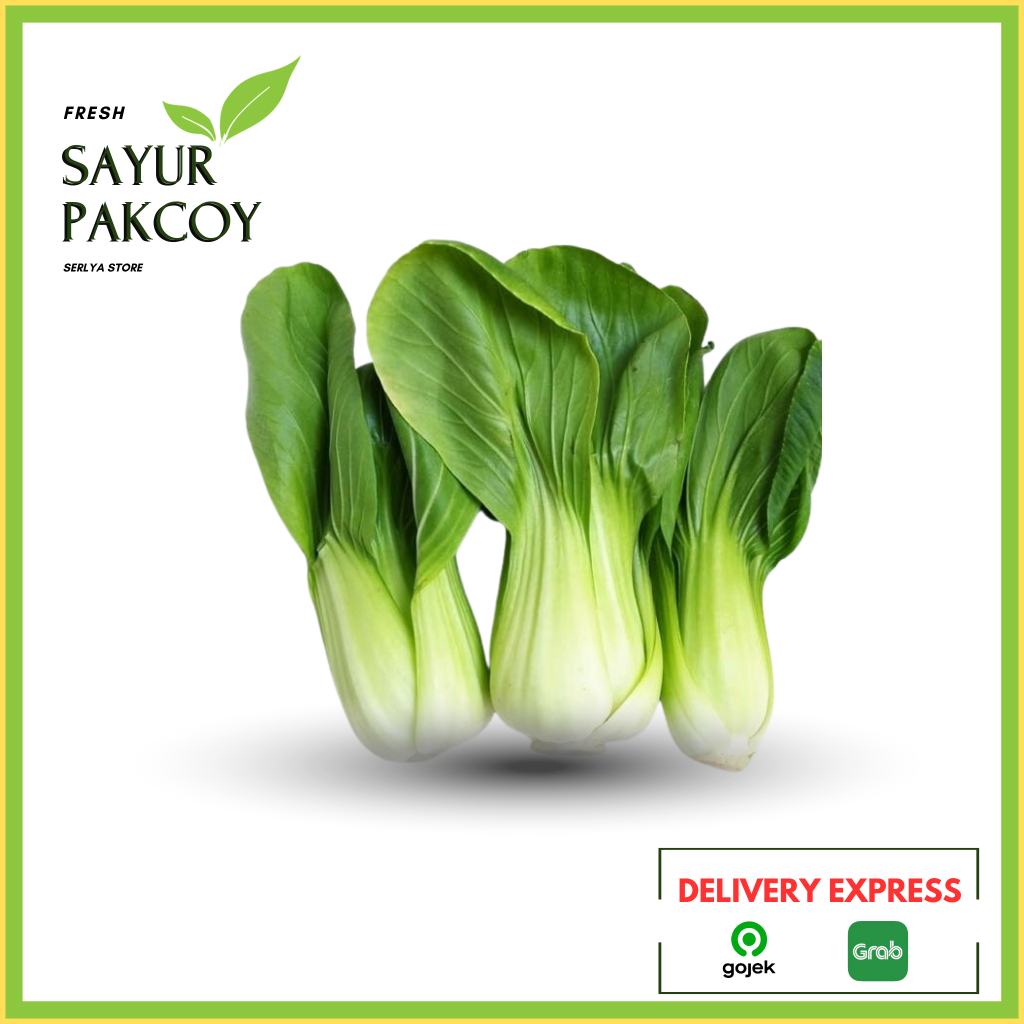 

SAYUR PAKCOY SEGAR SAYUR HIJAU DAUN POKCOY SAYURAN FRESH