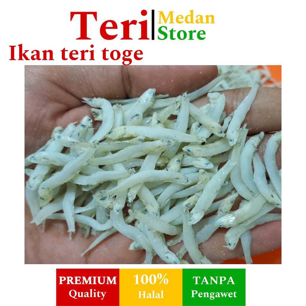 

Ikan teri nasi toge asli medan kering kualitas super premium