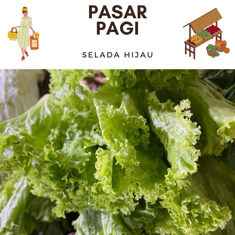 

sayur Selada segar/500 gram / 250 gram