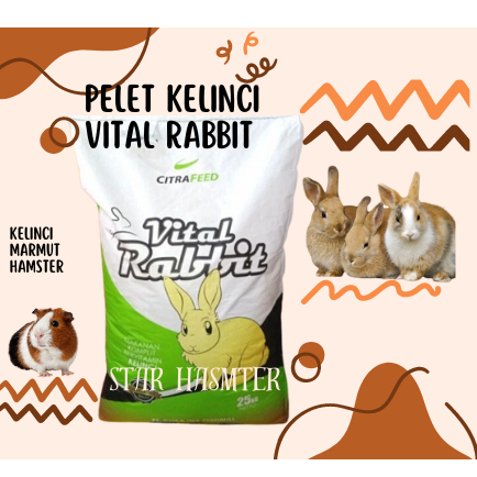 Pelet Kelinci Vital Rabbit - Pelet Kelinci Hamster Marmut - Pelet vitalrabbit