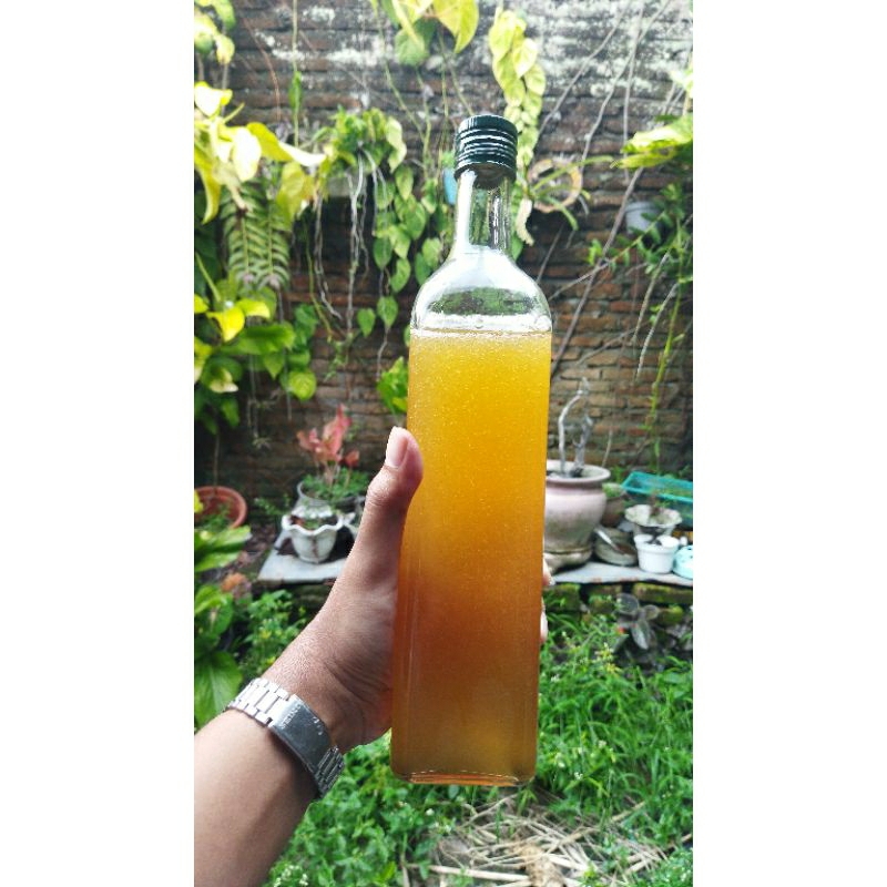 

madu hutan murni