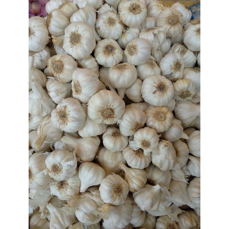 

bawang putih 250 gr 500gr