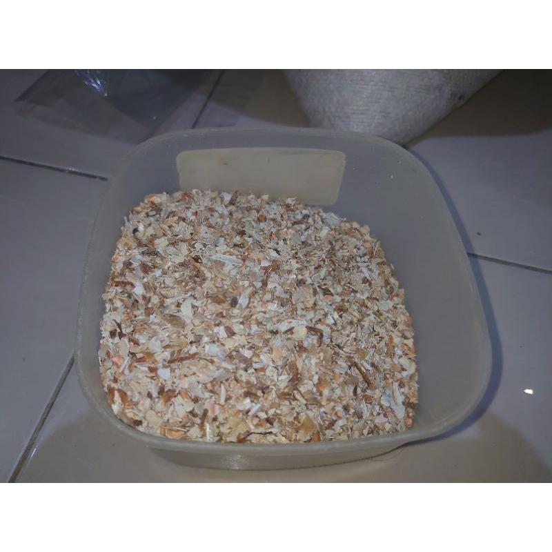 

cangkang kulit rajungan kepiting