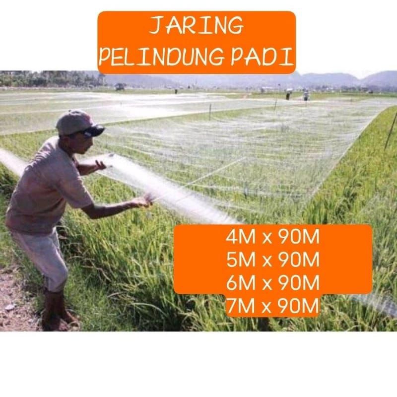 jaring burung emprit 0.12mm/jaring burung/jaring padi/jaring burung emprit