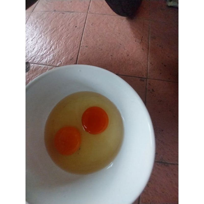 

telor ayam negri omega 3