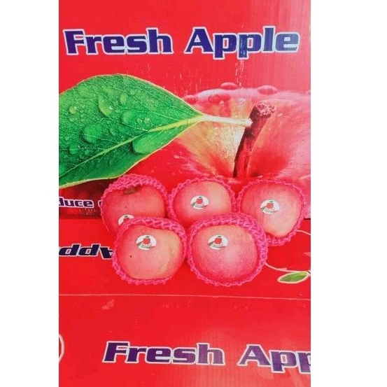 

Apel Fuji China SEAKEN size 88 /kg