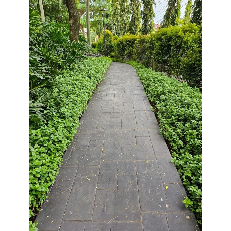 STAMP Cetakan batu alam Concrete uk. 20x40