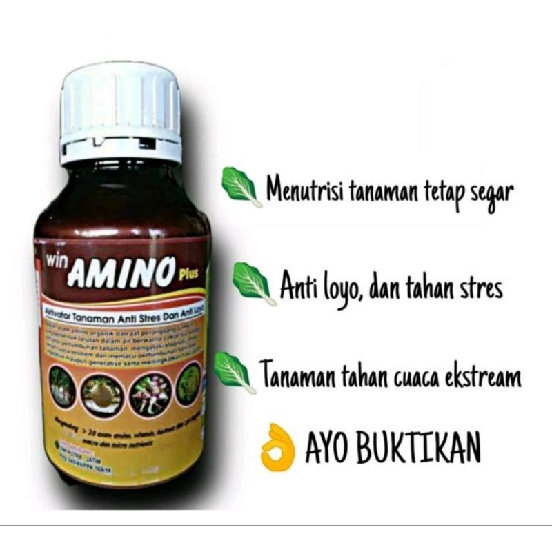 [win amino] ASAM AMINO- NUTRISI TANAMAN UNTUK CUACA EKSTRIM