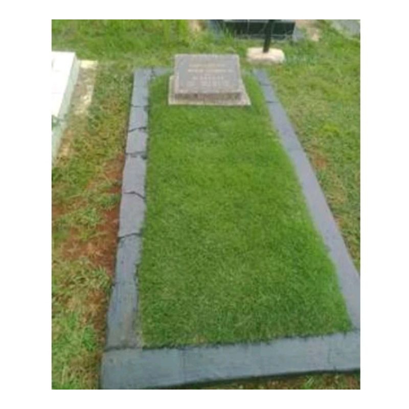 paket Rumput jepang untuk makam/kuburan 2×1.m