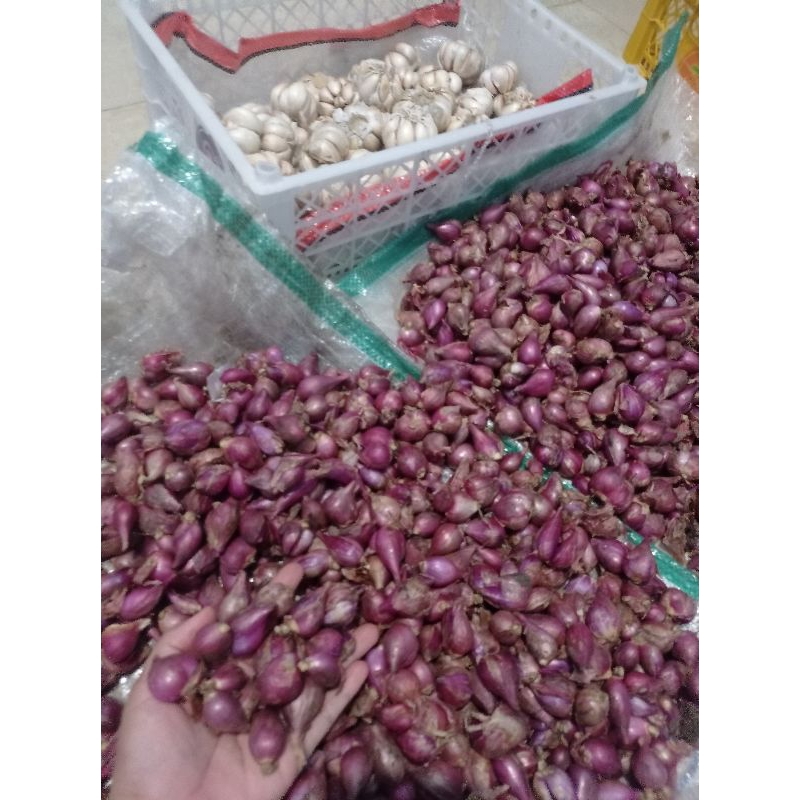 

bawang merah dan putih