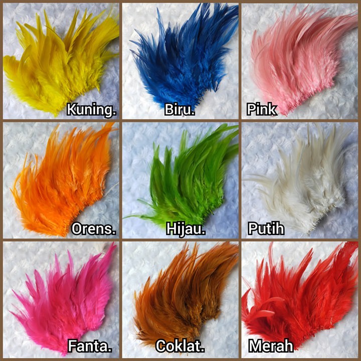 Jual Bulu Ayam Warna warni Halus isi 50 helai/Bulu ayam Hias - Bulu ayam Warna