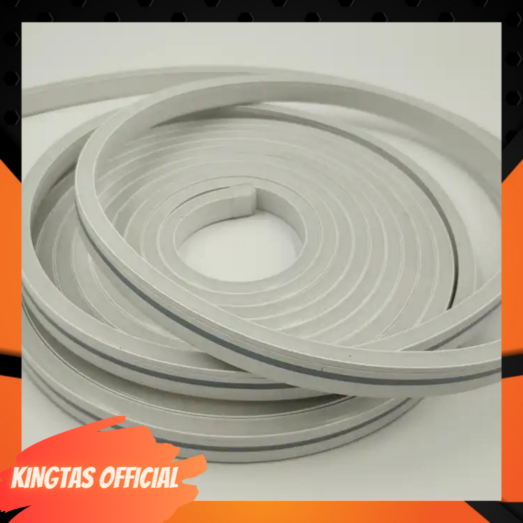 neon flex kingtas IP67 rgb 24v 10m 10x23mm