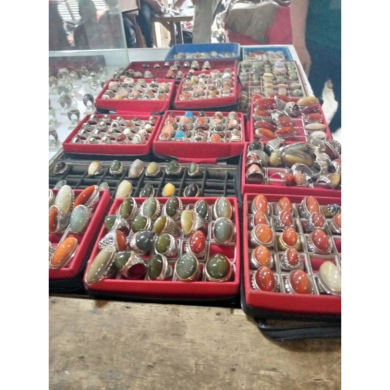 pandan nanas merah lumut