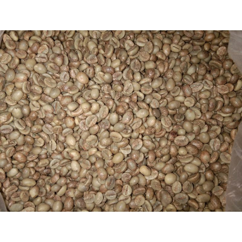 

Green Bean Robusta Grade 1 (1kg)/Arabika Natural (1kg) / Arabika Wine (1kg) / Temanggung | Robusta |Arabika