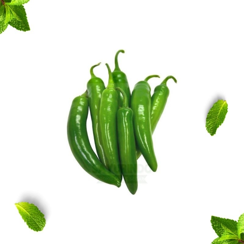 

Cabe Hijau Besar 250gram