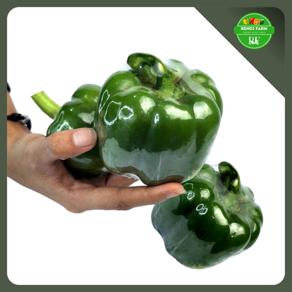 

PAPRIKA HIJAU / PAPRIKA HIJAU SEGAR