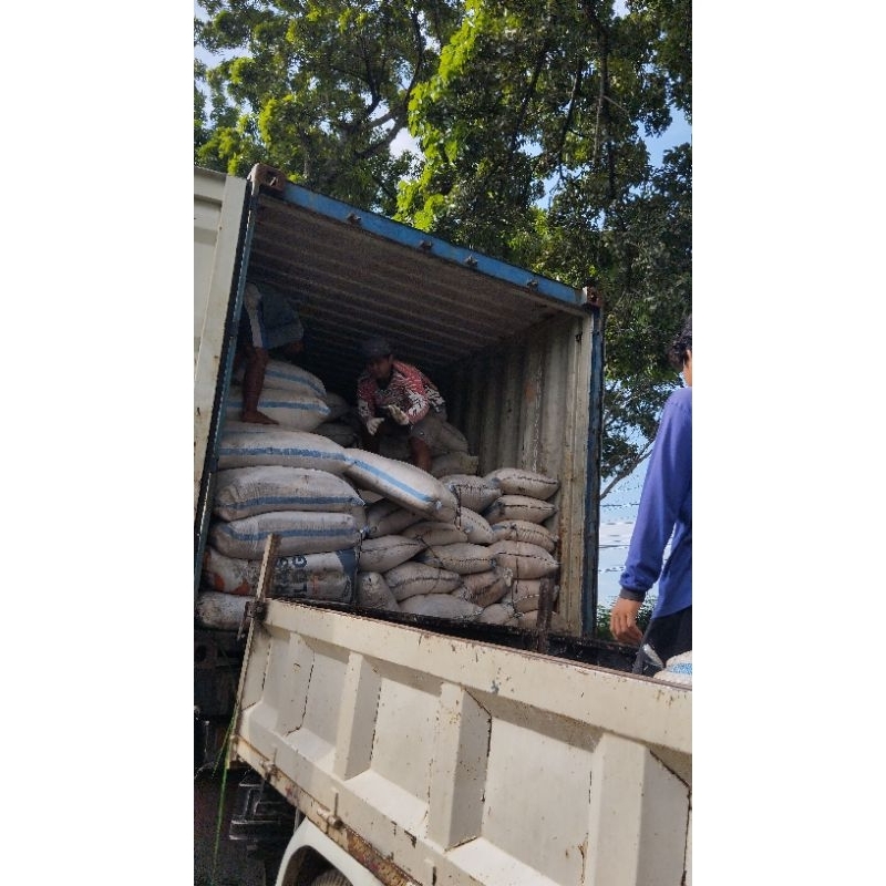 

tepung sagu dan tapioka