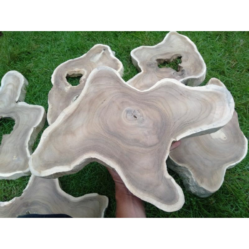Potongan Kayu jati / Slice
