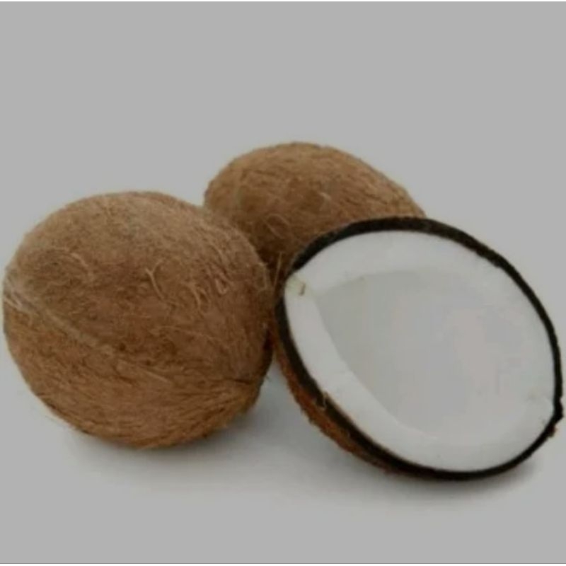 

Santan kelapa murni 1 buah