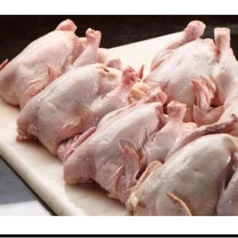 

ayam ras potong 2 kg/ lebih khusus padang