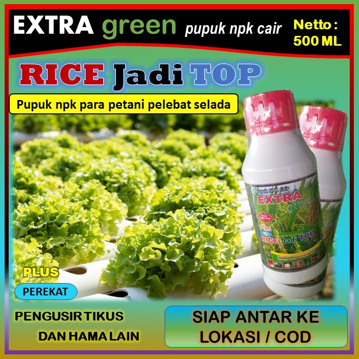 Pupuk tanaman selada npk cair lengkap ( EKTRA GREEN RICE jadi TOP ) 500 ml - pupuk penyubur tanaman 