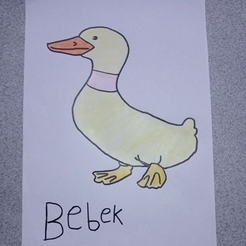 

gambar hewan gambar bebek gambar viral gambar bagus gambar anak