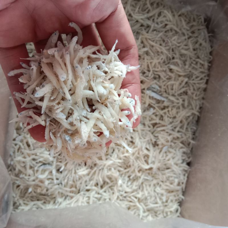 

Teri Nasi sari laut ikan ber kalsium tinggi 500gr