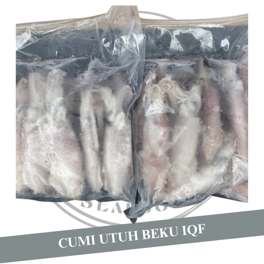 

Cumi Utuh Beku Iqf / Cumi Frozen Utuh / Cumi Size 8 - 10 / 1 KG