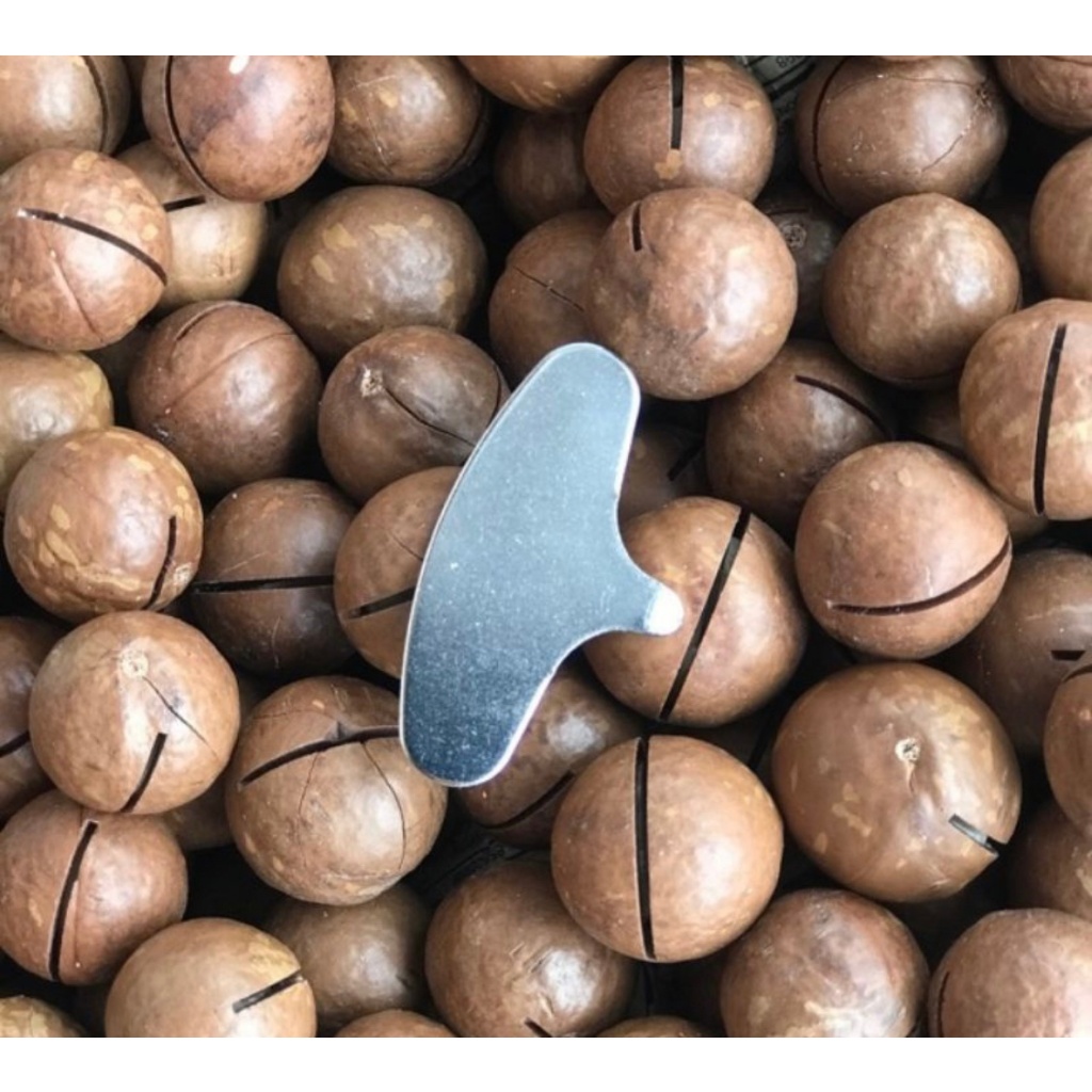 

KACANG MACADAMIA 1 KG / MACADAMIA NUT / KACANG SEHAT