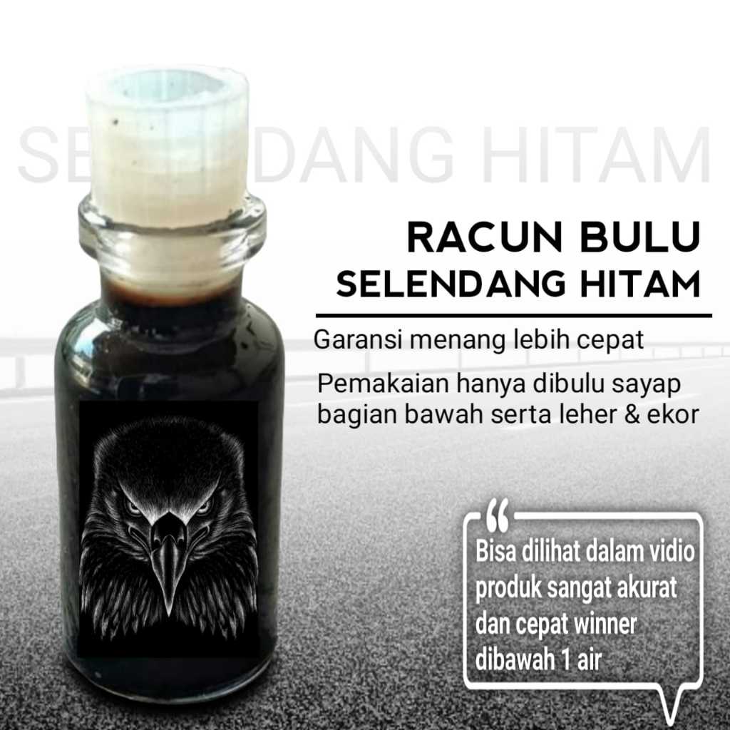 ayam bangkok asli pama jamu jago racun bulu selendang hitam