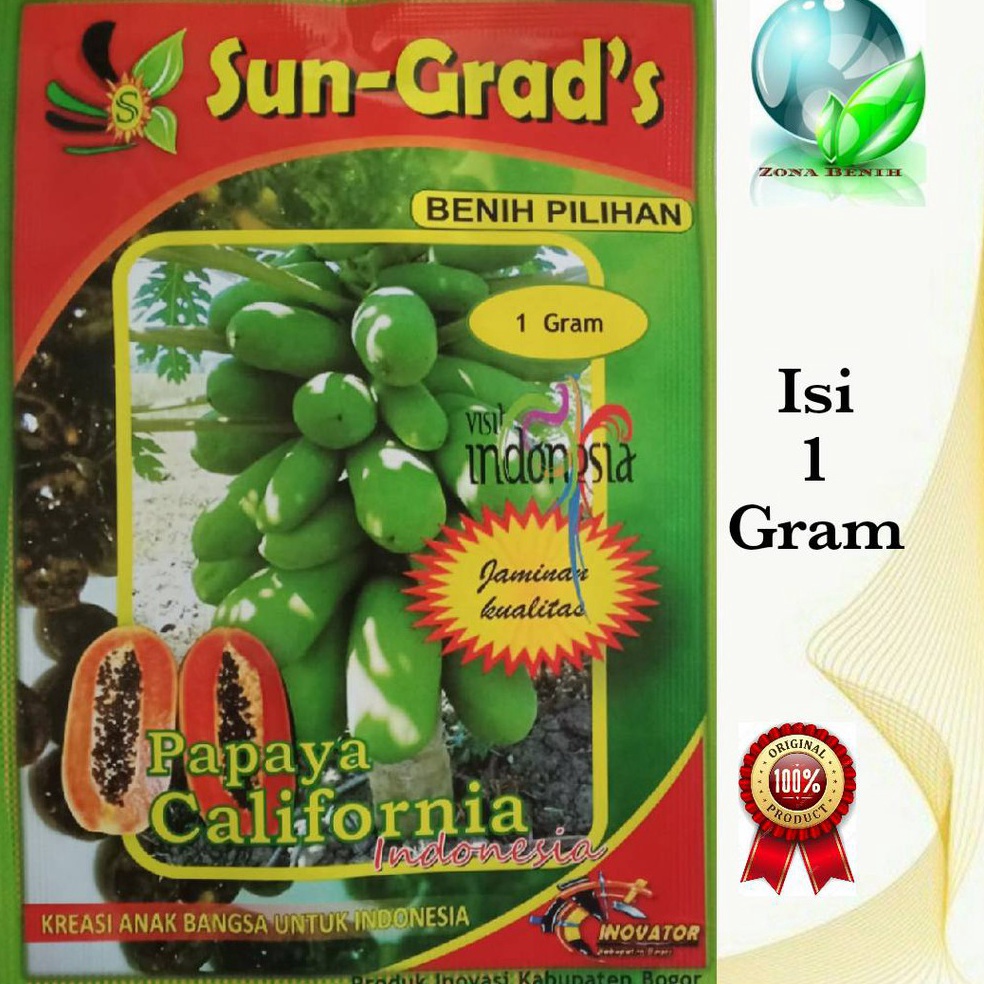 GVK663 Penjualan TerbaikCOD Benih Pepaya California SUN GRADS Isi 1 Gram  Bibit Pepaya California Un