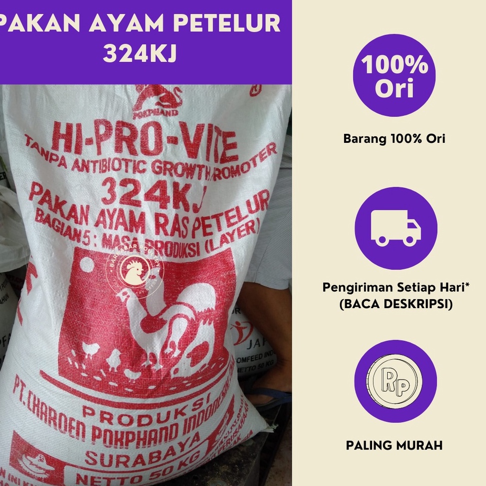 Terlaris Today Pakan Ayam Petelur Dewasa 324KJ 1 Kg