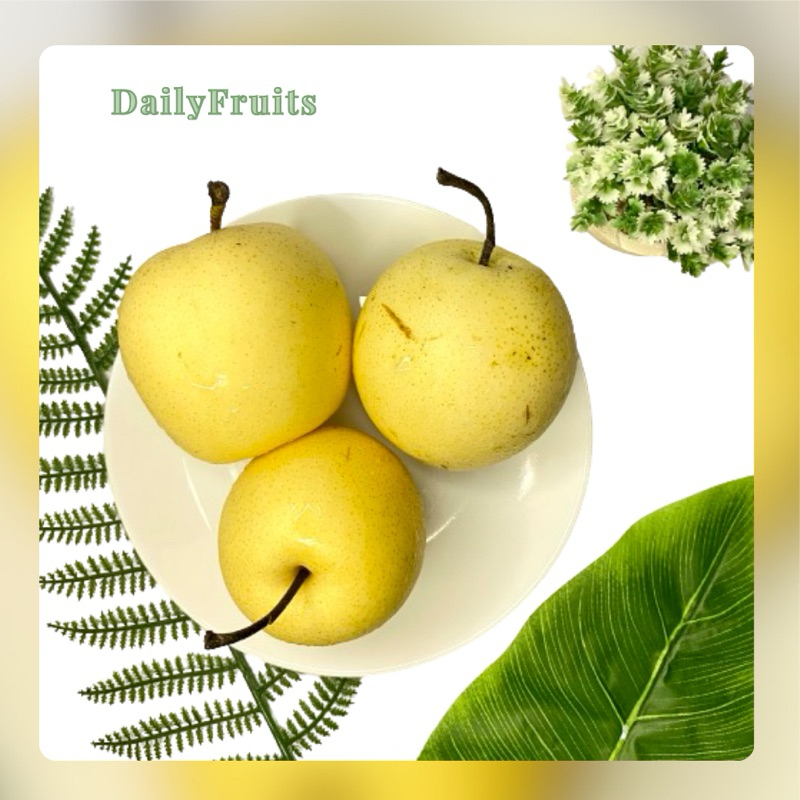 

Pear Century Fresh Import 1 Kg | DailyFruits