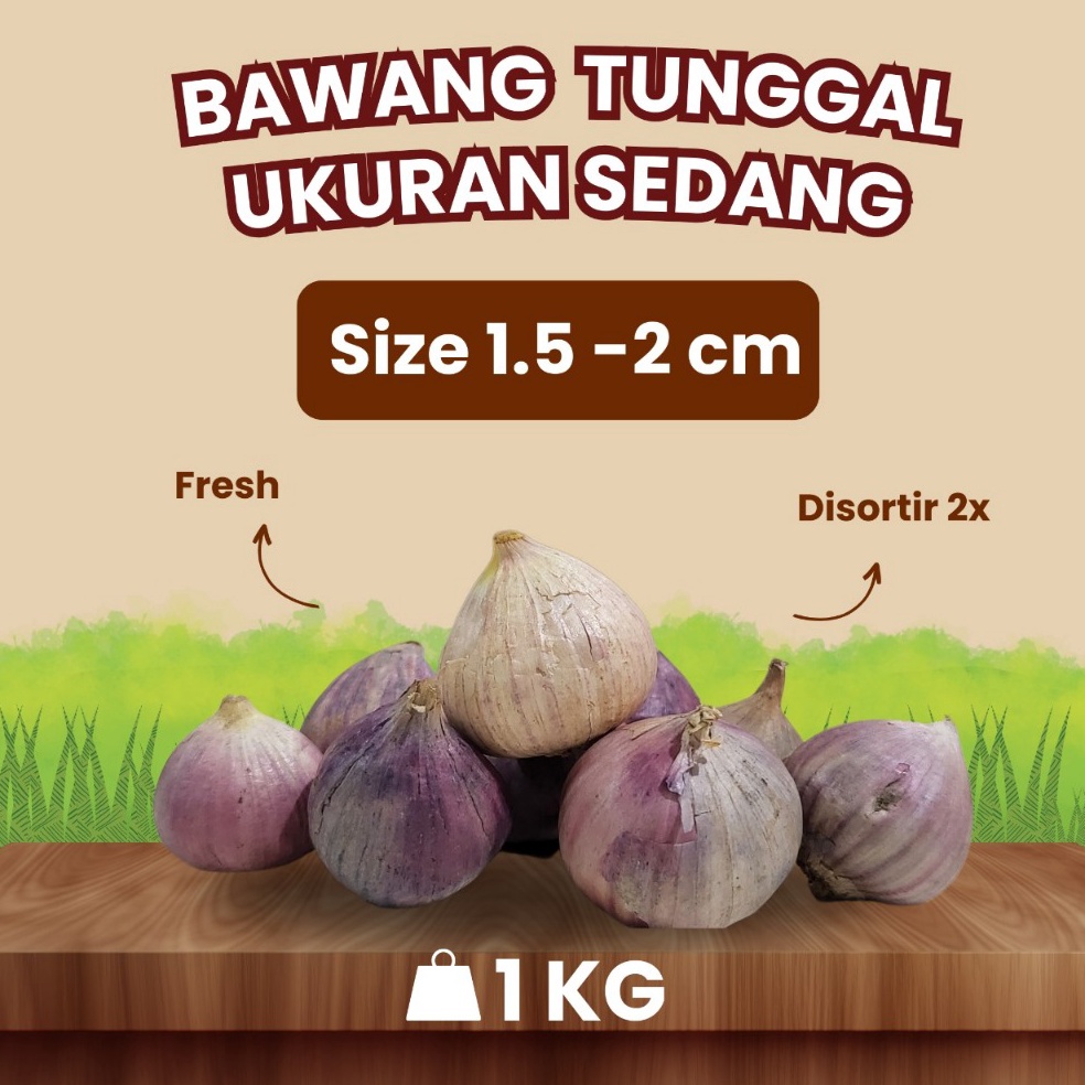 

JJE624 FLASH SALE Bawang Putih Tunggal Lanang SEDANG 152 CM 1 KG