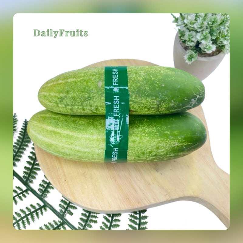 

Timun Super Fresh 500gr | DailyFruits