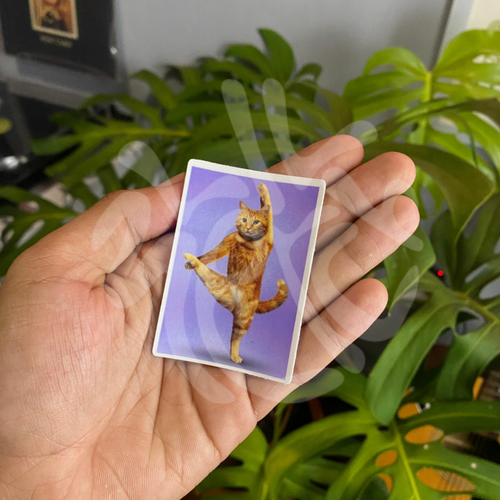 

stiker kucing / sticker aesthetic / sticker tumblr / stiker premium / stiker hp / stiker laptop / stiker helm / stiker tahan air