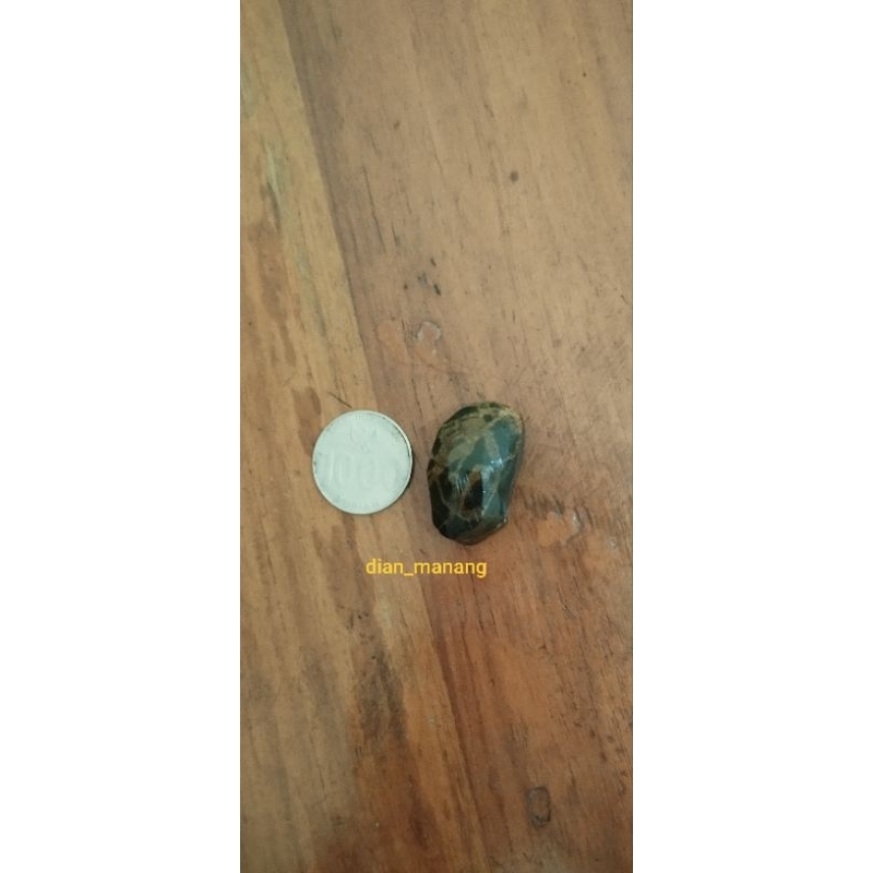 Koleksi Unik Batu Moestika Tapak Jalak Urat Kuning Emas
