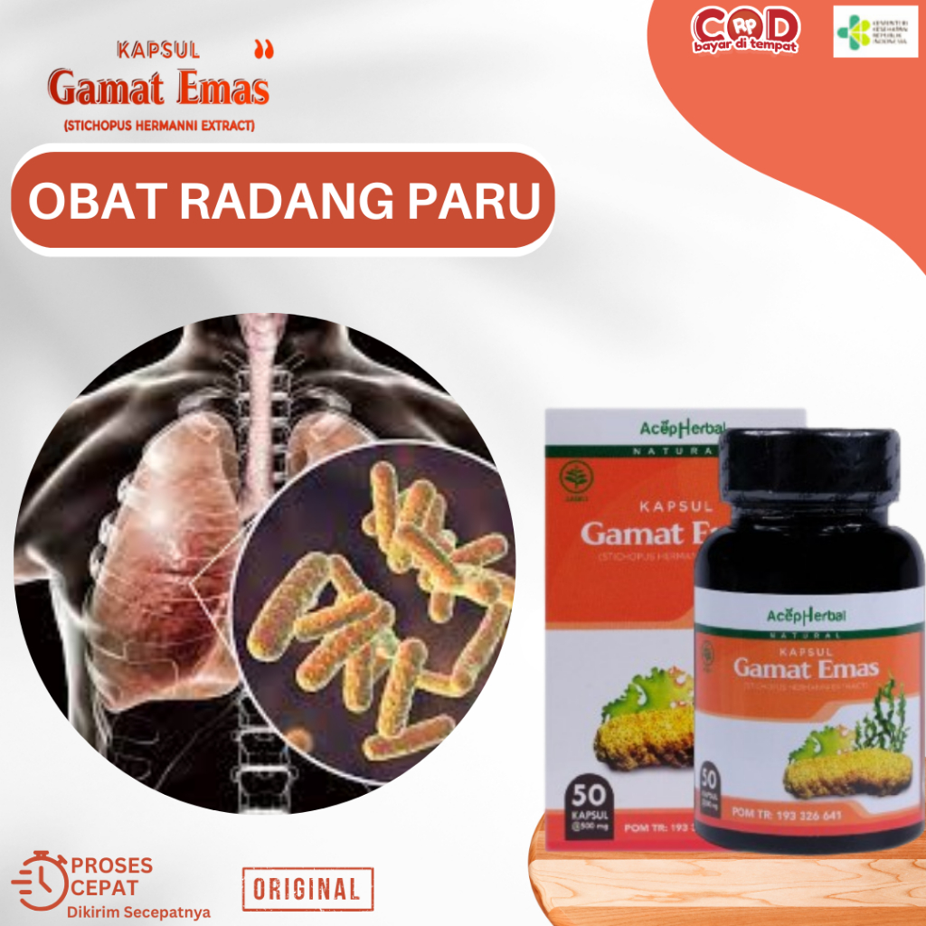 Obat Radang Paru, Obat Flek Paru Paru, Obat Membersihkan Paru, Paru Paru Kotor, Obat Gurah Pernafasa