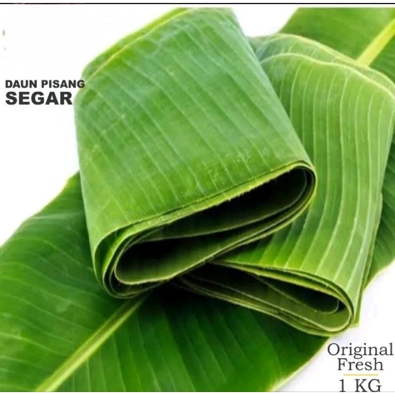 

1IKAT DAUN PISANG SEGAR 1KG,500GR,250GR