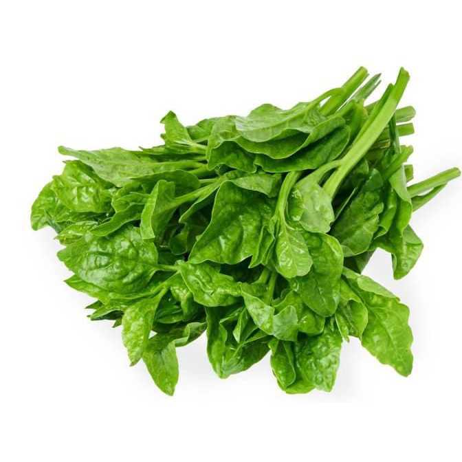 

Sayur gondola fresh, sayur raja/gondola, sayur gondola segar