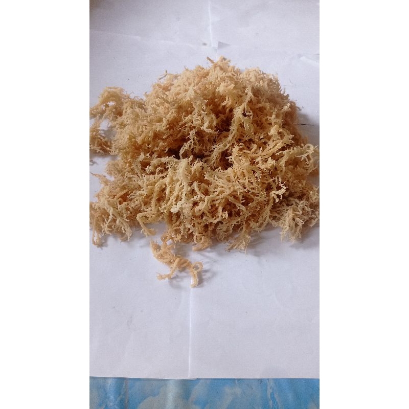 

Rumput laut kering 100% Original kemasan 1000gram/1kg