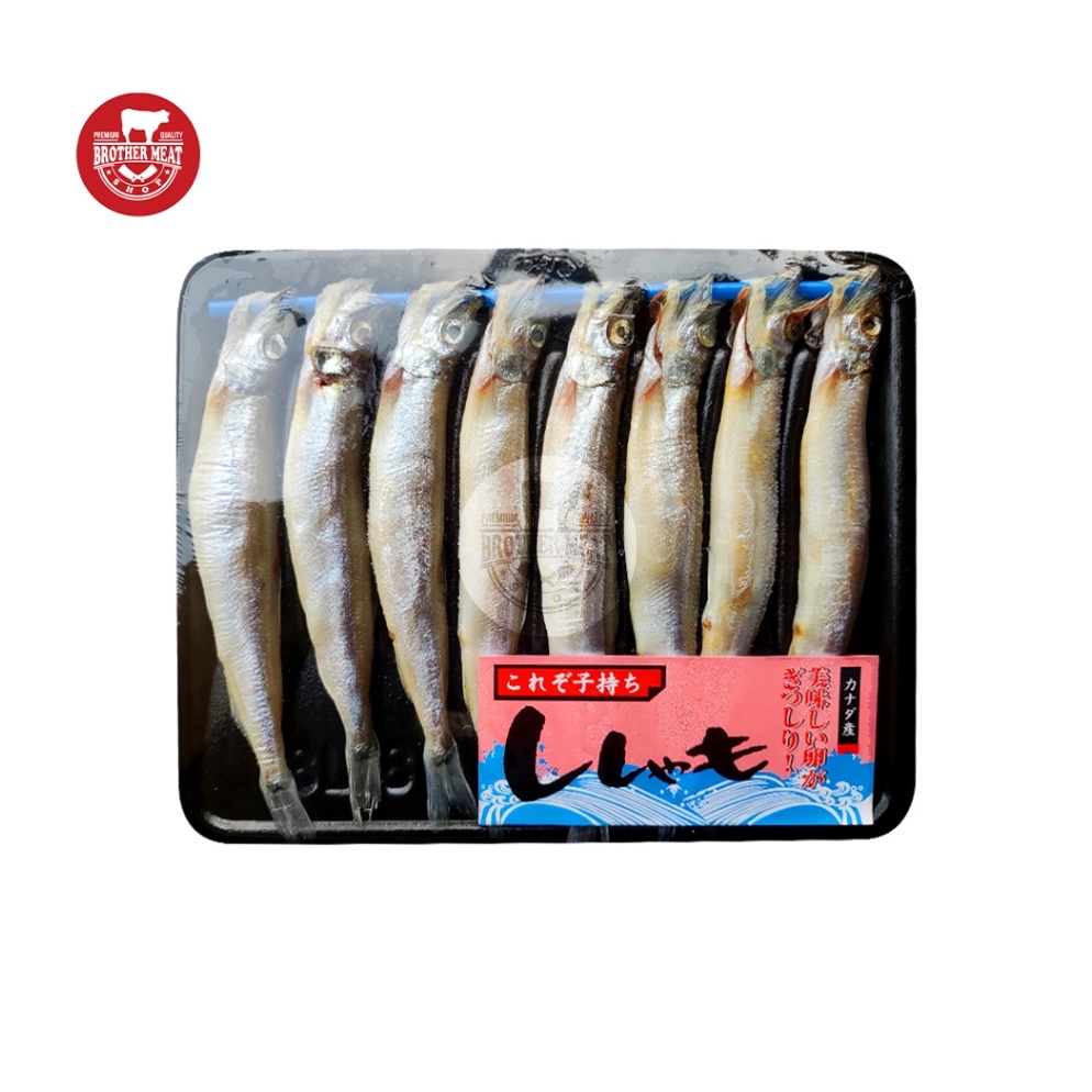 

GJR384 Terkece SeRI Shisamo Fish Ikan Capelin 1619gr