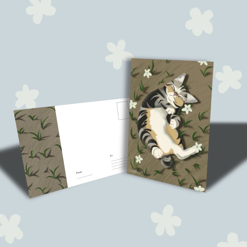 

Postcard kucing cat ukuran A6