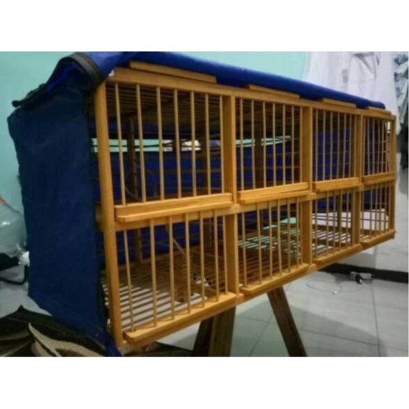 Diskon Kerodong dongdang merpati