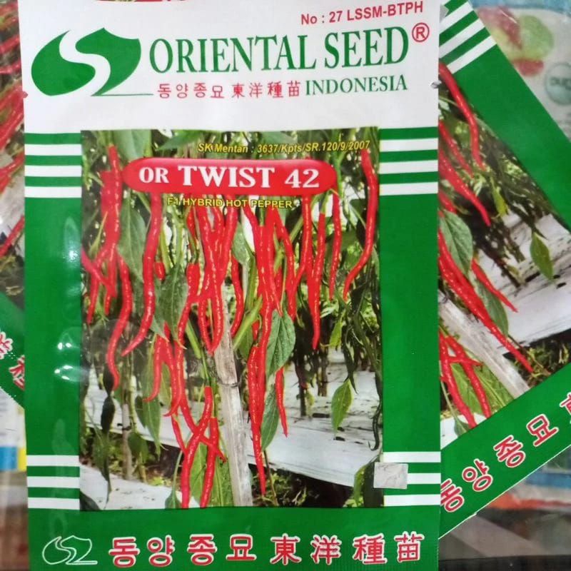 Benih bibit Cabe merah keriting OR TWIST 42 F1 10 gram