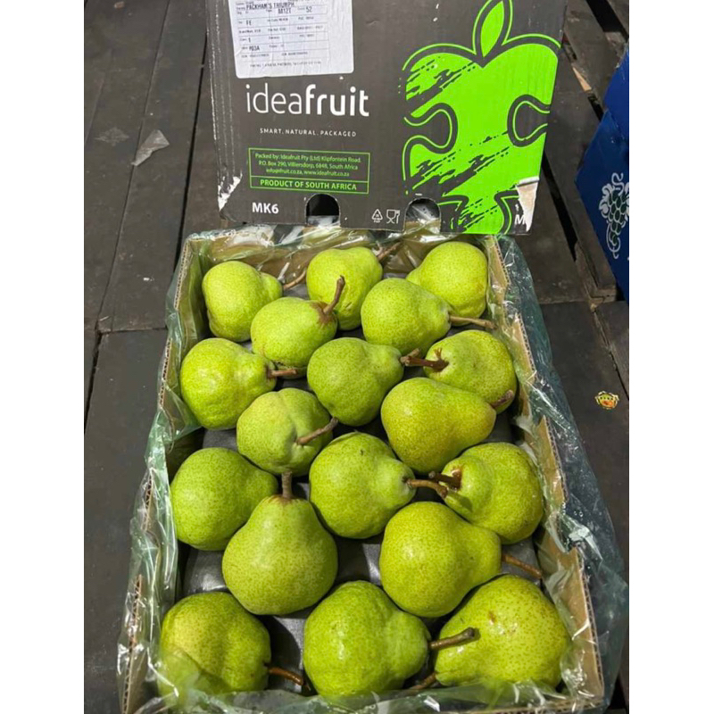 

buah pir pakam pear pachkam - 1 KG pir jambu pir hijau buah pear jambu pear pakam