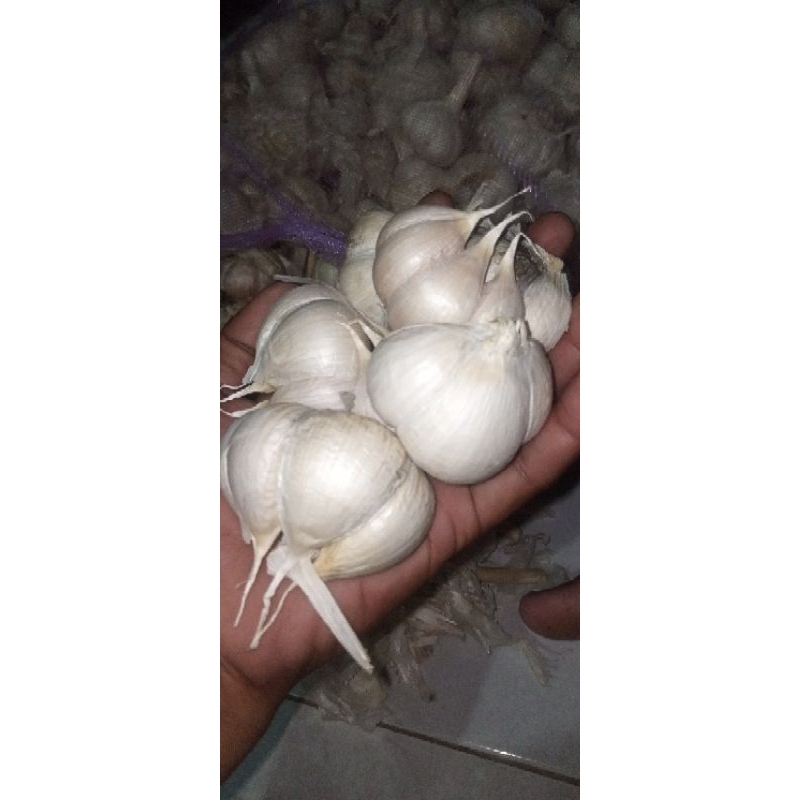 

bawang kating Gemoy (750gr)