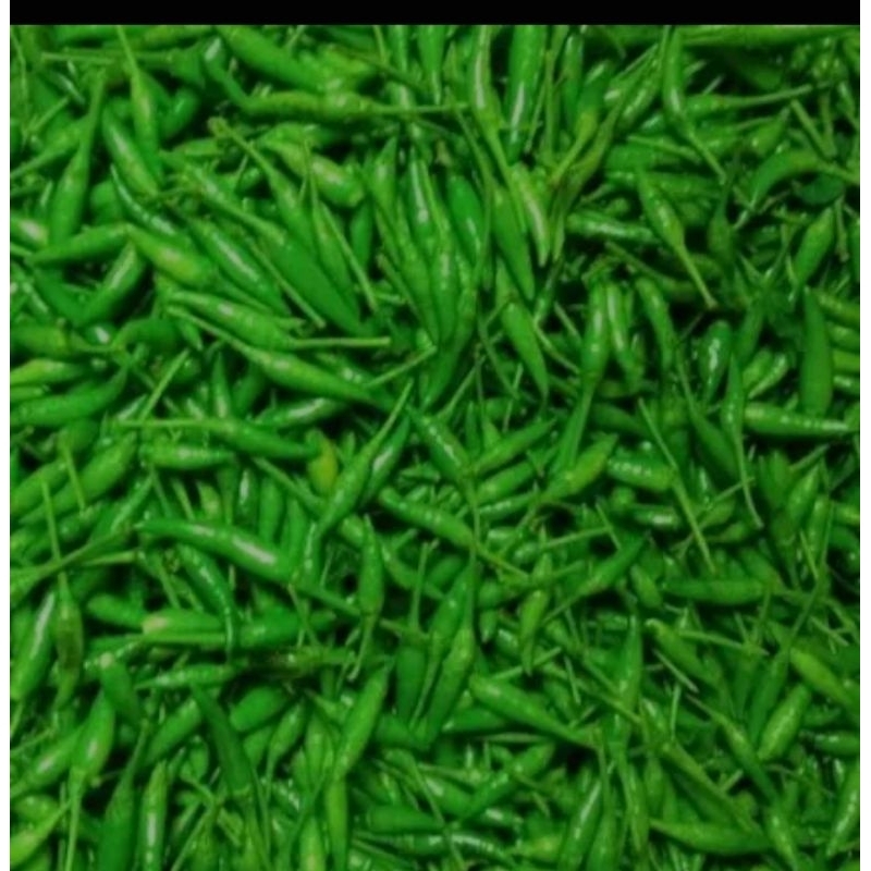 

Fresh Segar rawit hijau super 500 gr
